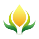 Ilumina Luz